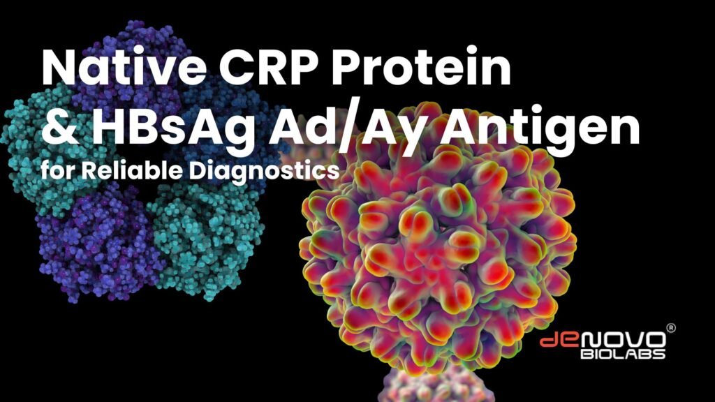 Native CRP Protein and HBsAG Antigen